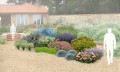 Gotowy projekt ogrodu - "Rabata Kolorowa Preria". Zestaw (Projekt + 61 sadzonek).